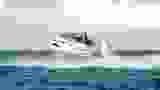 Nordkapp Noblesse 720 - daycruiser - båt (17)